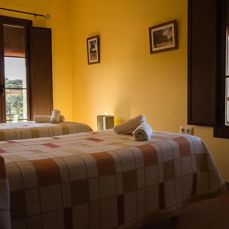 La Enrama Del Cerrillo Millanes